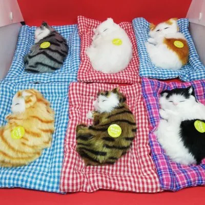 Sleeping Cat